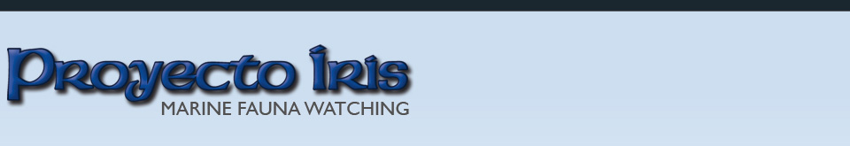 Proyecto Iris