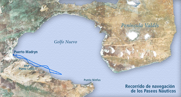 Ver recorrido